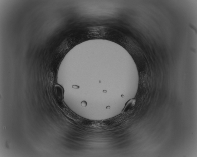 X0000097510752200803201615