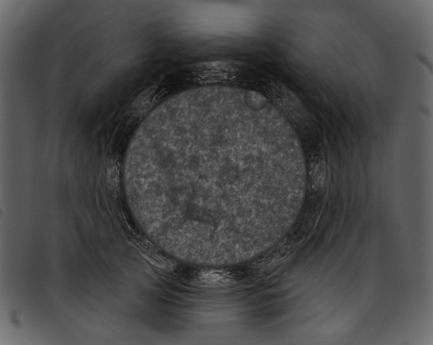 X0000097510753200803201615
