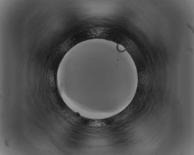 X0000097510754200803201615