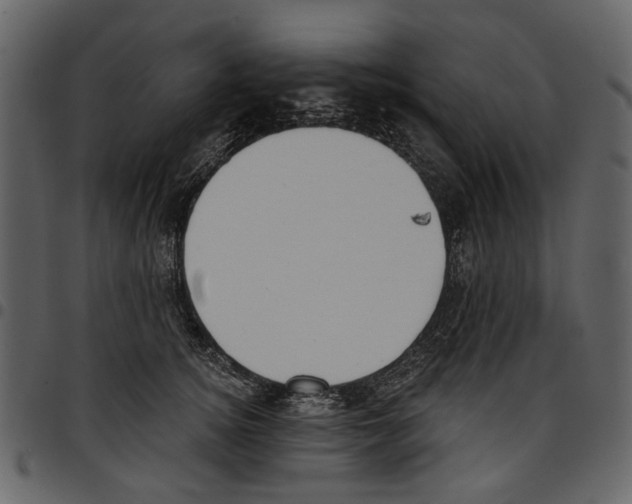 X0000097510756200803201615