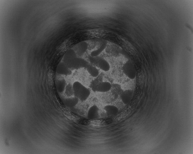 X0000097510757200803201615