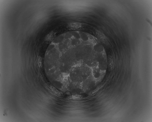 X0000097510758200803201615
