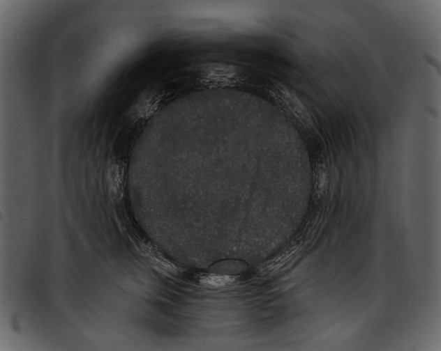 X0000097510759200803201615