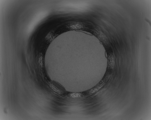 X0000097510762200803201615