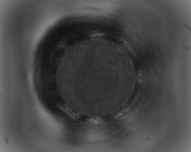 X0000097510763200803201615
