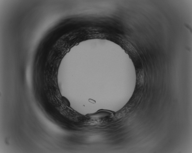 X0000097510764200803201615