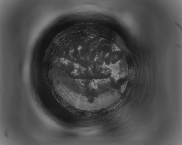 X0000097510765200803201615