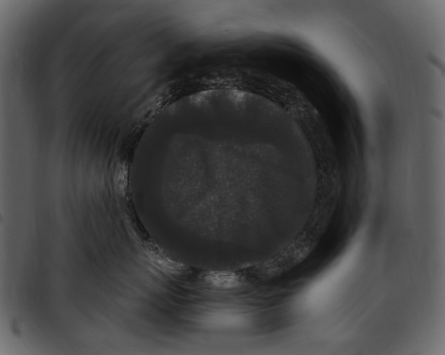 X0000097510767200803201615
