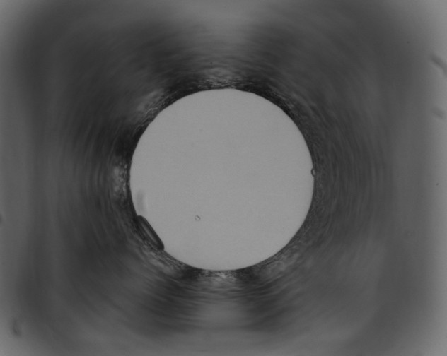 X0000097510768200803201615