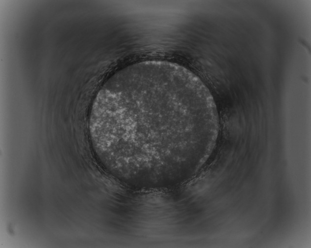 X0000097510769200803201615