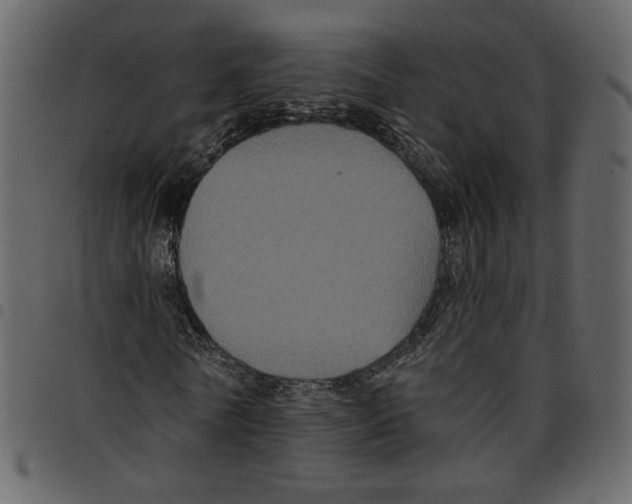X0000097510770200803201615