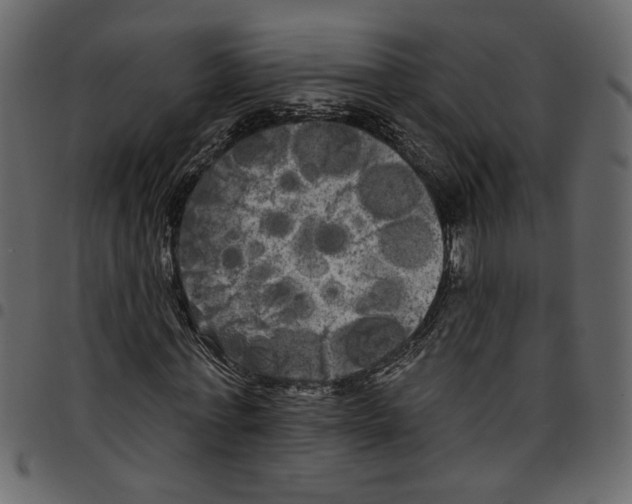X0000097510771200803201615