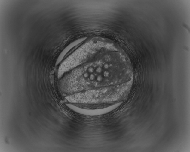 X0000097510772200803201615