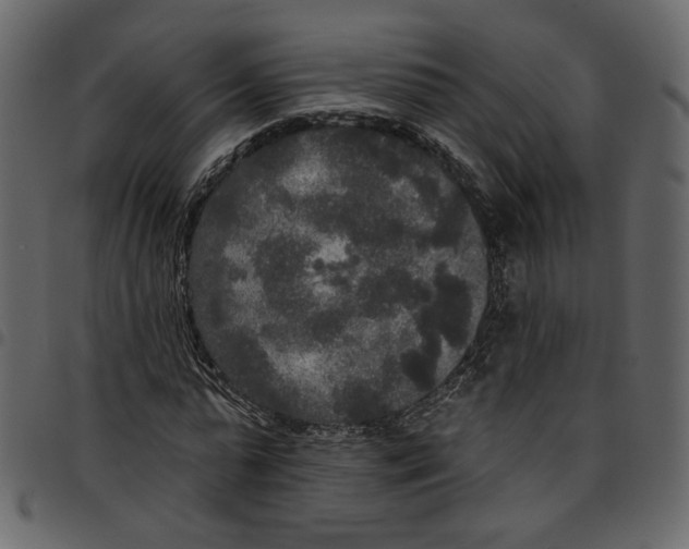 X0000097510775200803201614