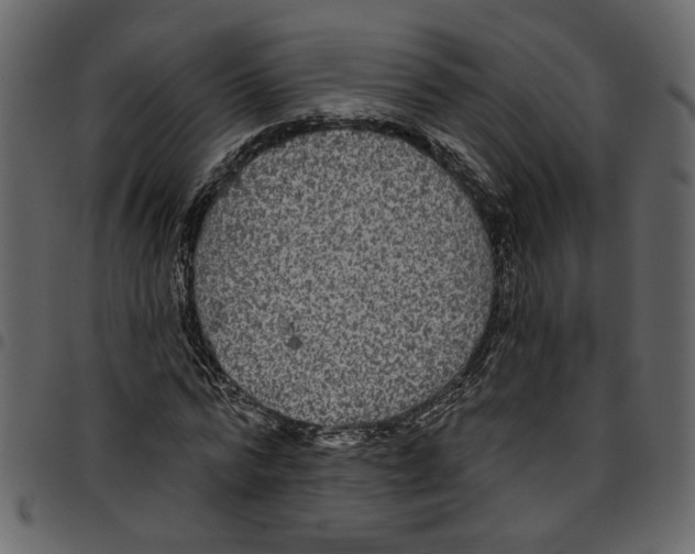 X0000097510776200803201614