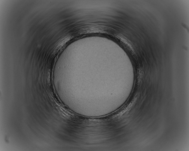 X0000097510777200803201614