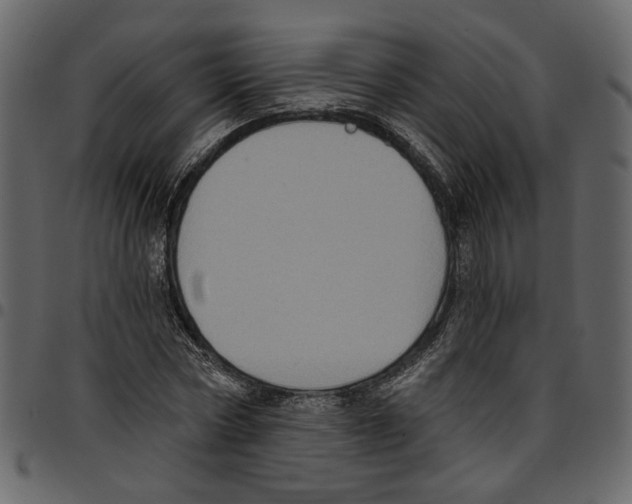 X0000097510778200803201614