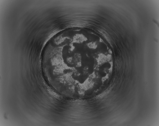 X0000097510779200803201614