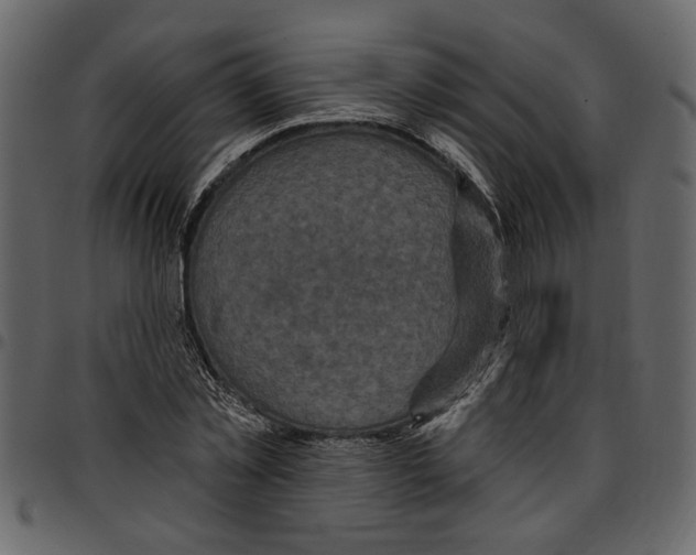 X0000097510781200803201614
