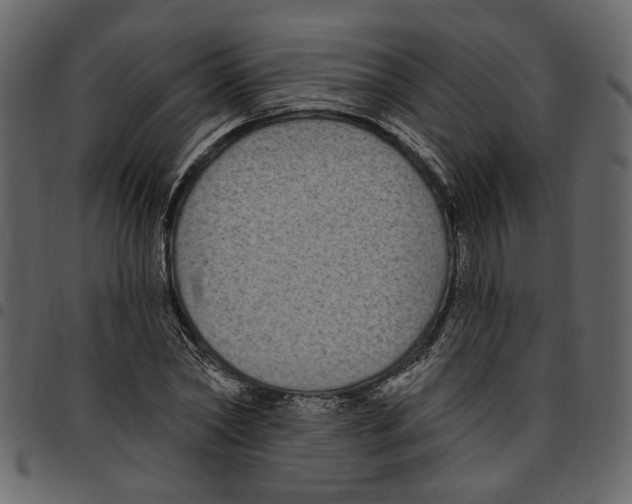X0000097510782200803201614