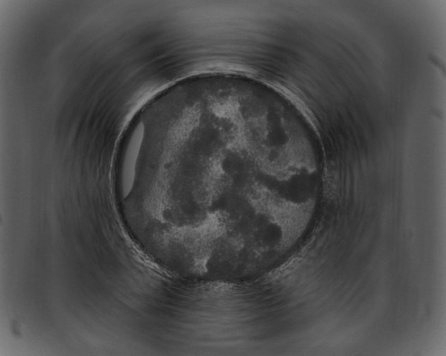 X0000097510783200803201614