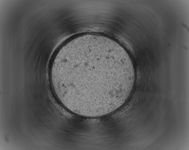 X0000097510784200803201614