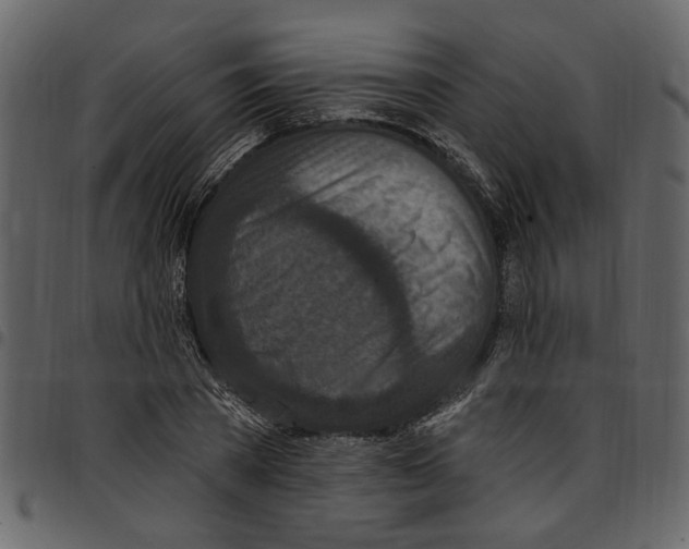 X0000097510785200803201614