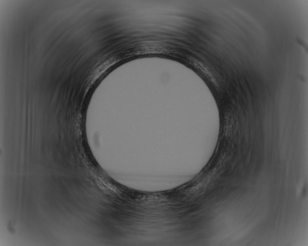 X0000097510786200803201614
