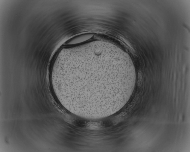X0000097510788200803201614