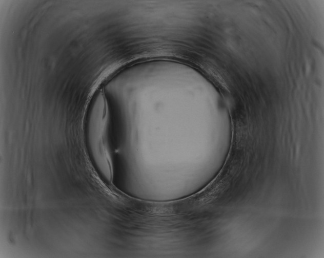 X0000097510789200803201614