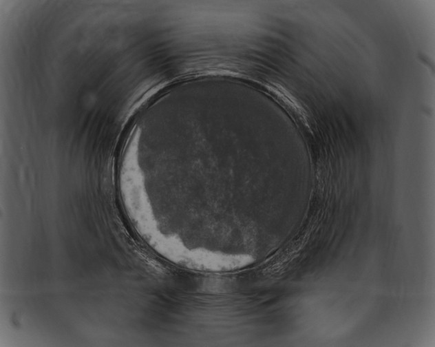 X0000097510790200803201614