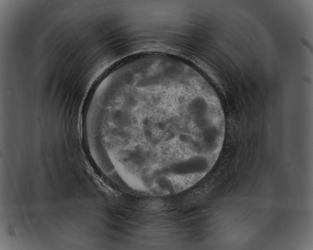 X0000097510791200803201614