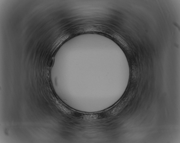 X0000097510793200803201614
