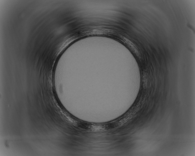 X0000097510794200803201614