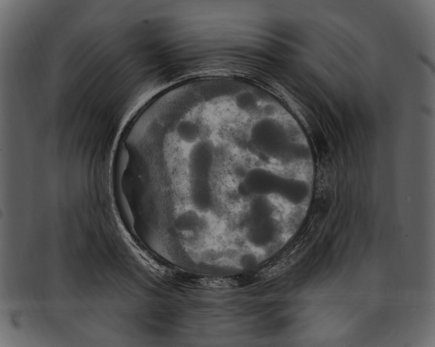 X0000097510795200803201614