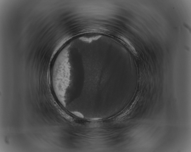 X0000097510796200803201614