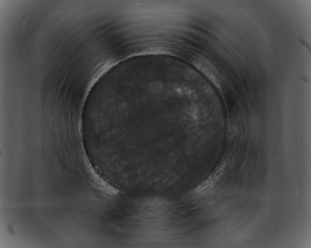 X0000097510797200803201614