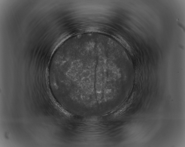 X0000097510798200803201614