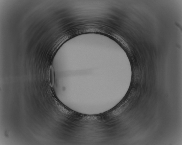X0000097510801200803201614