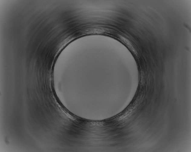 X0000097510802200803201614