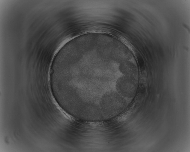 X0000097510803200803201614