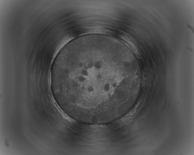 X0000097510804200803201614