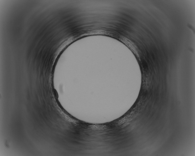 X0000097510805200803201614