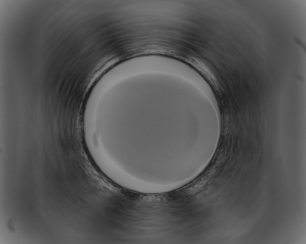 X0000097510806200803201614