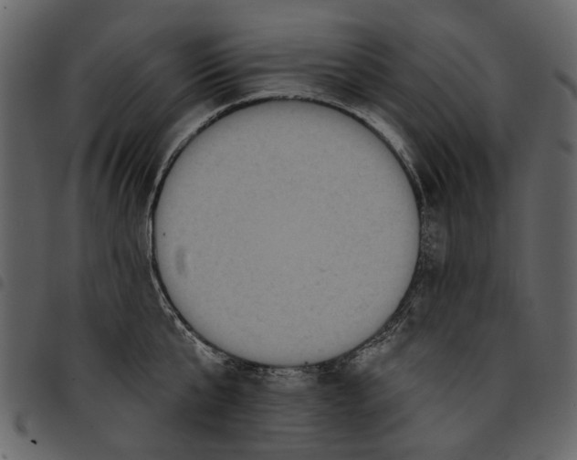 X0000097510807200803201614