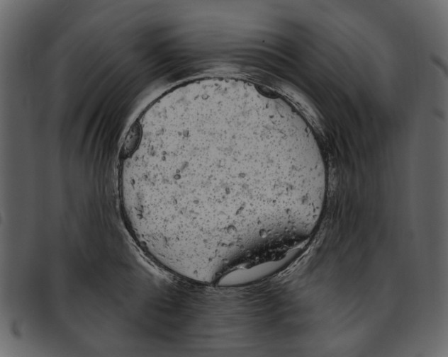 X0000097510808200803201614