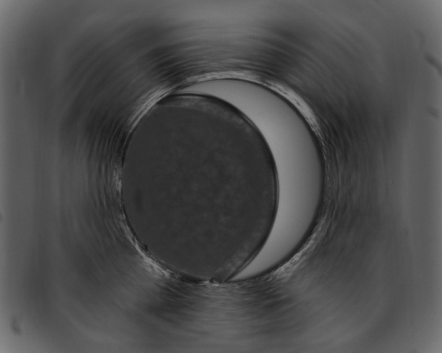 X0000097510809200803201614