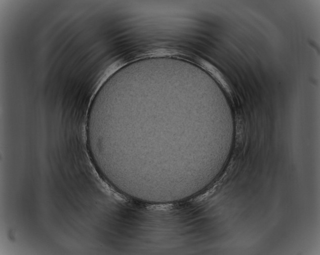 X0000097510810200803201614