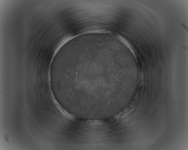 X0000097510811200803201614
