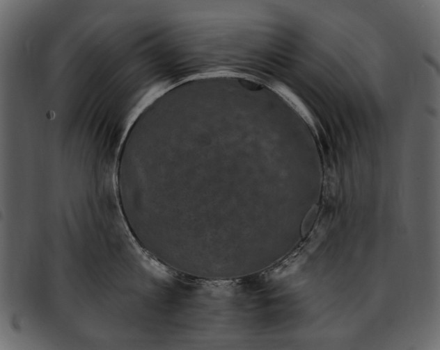 X0000097510813200803201614